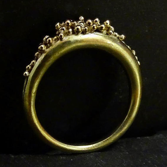 Seed Cluster Ring