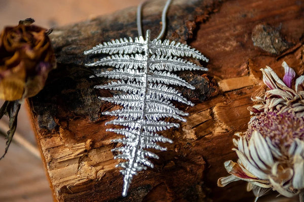 Fern
