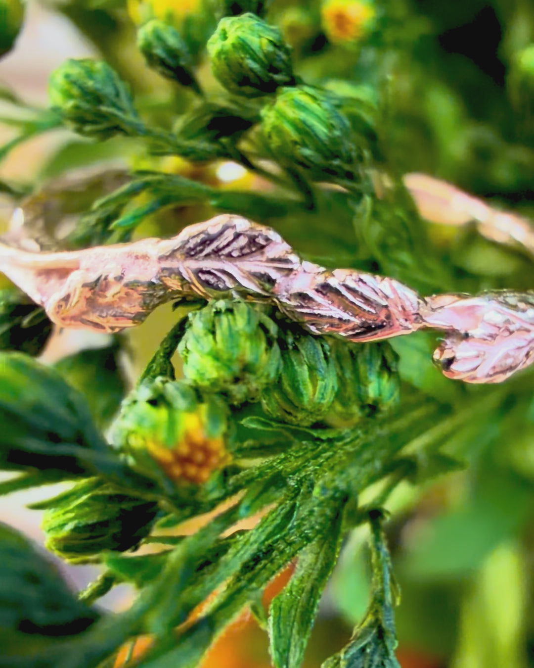 Forest Leaves ring, 14ct yellow gold